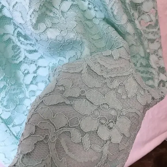 David’s Bridal Teal Short Strapless Lace Dress - Picture 7 of 16
